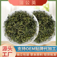 蒲公英茶泡水泡茶养生茶无糖散结去火茶贴 牌定 制可批发