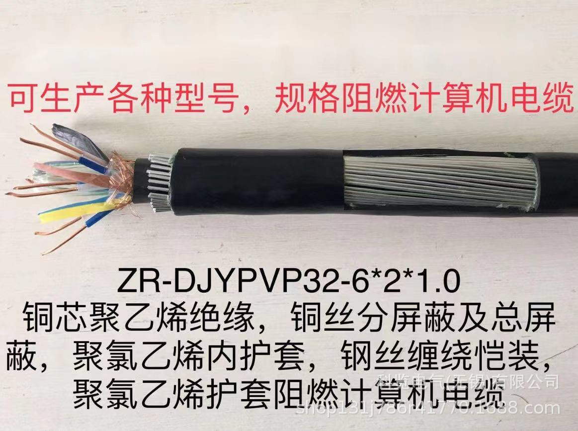 本安防爆钢丝缠绕铠装计算机电缆线 ZR-IA-DJYPVRP32 1*2*1.5现货