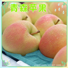 日本青森苹果 正宗水蜜桃苹果明月纯甜酥脆多汁新鲜水果包邮代发