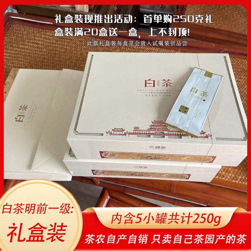 浙江安吉白茶2024年明前新茶叶250克礼盒装珍稀白茶原产地茶场直