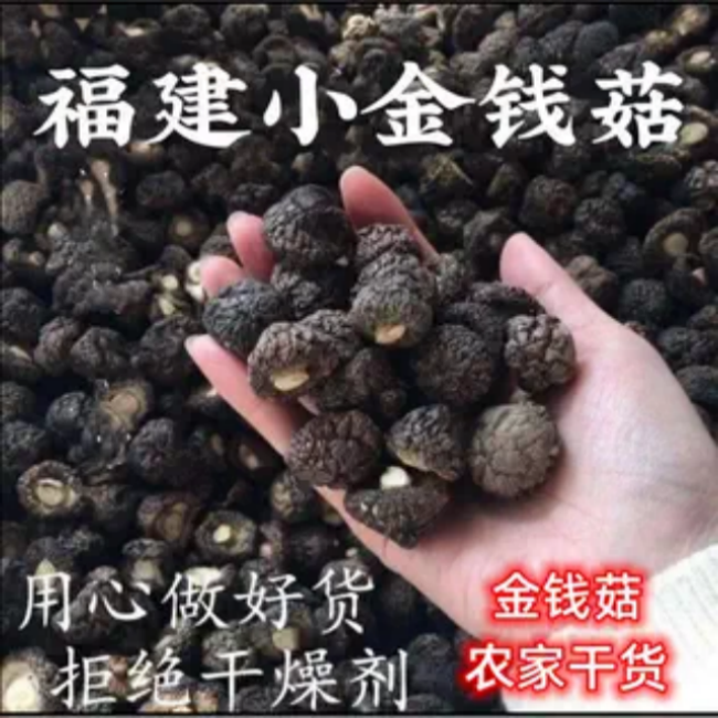 新货福建特产金钱菇超小限量珍珠菇干货小香菇浓香特嫩煲汤500g