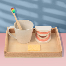 蒙氏刷牙教具小班生活区区域刷牙牙齿操作蒙氏教具精细动作训练
