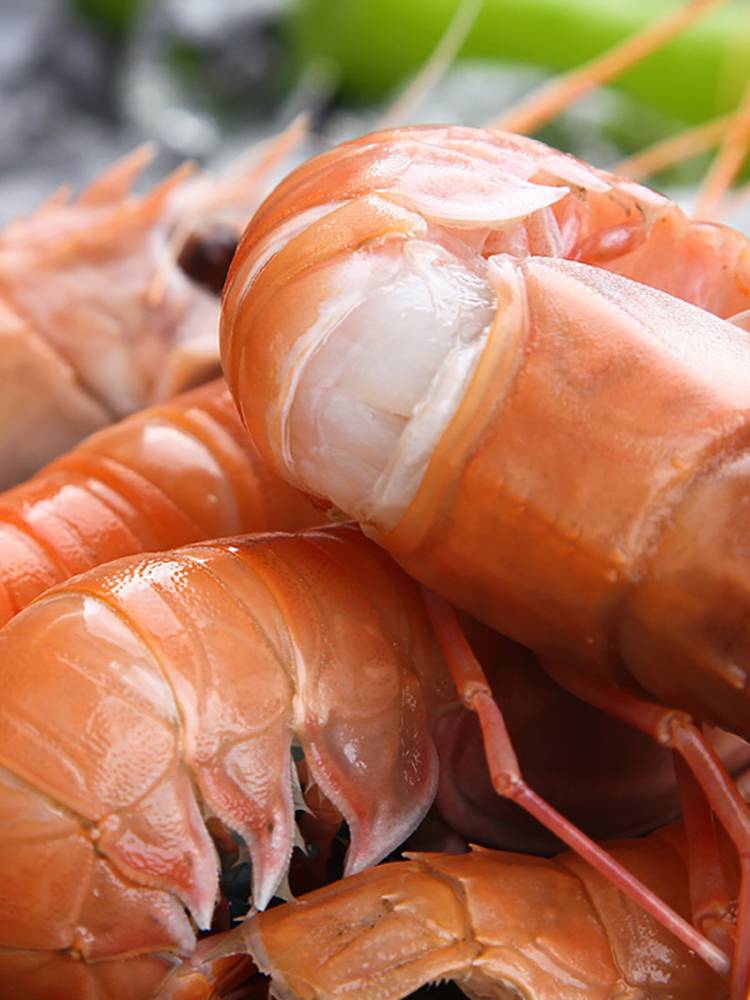 刺身海鳌虾鲜活速冻海鲜非新西兰螯虾新鲜斯比干虾深海大螯虾0633