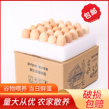草鸡蛋40枚装起发分销专供山鸡蛋土鸡蛋产妇宝宝