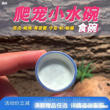 爬虫昆虫迷你陶瓷小水碗食盆蛐蛐螳螂蝈蝈蜘蛛蝎子守宫睫角果泥碗