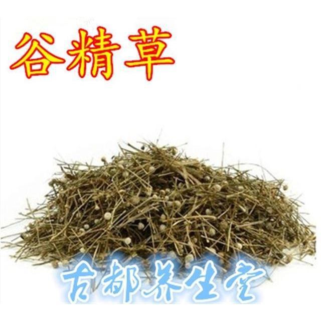 正品野生中药材谷精草包邮鱼眼草珍珠草天星草新货非进口中国大陆