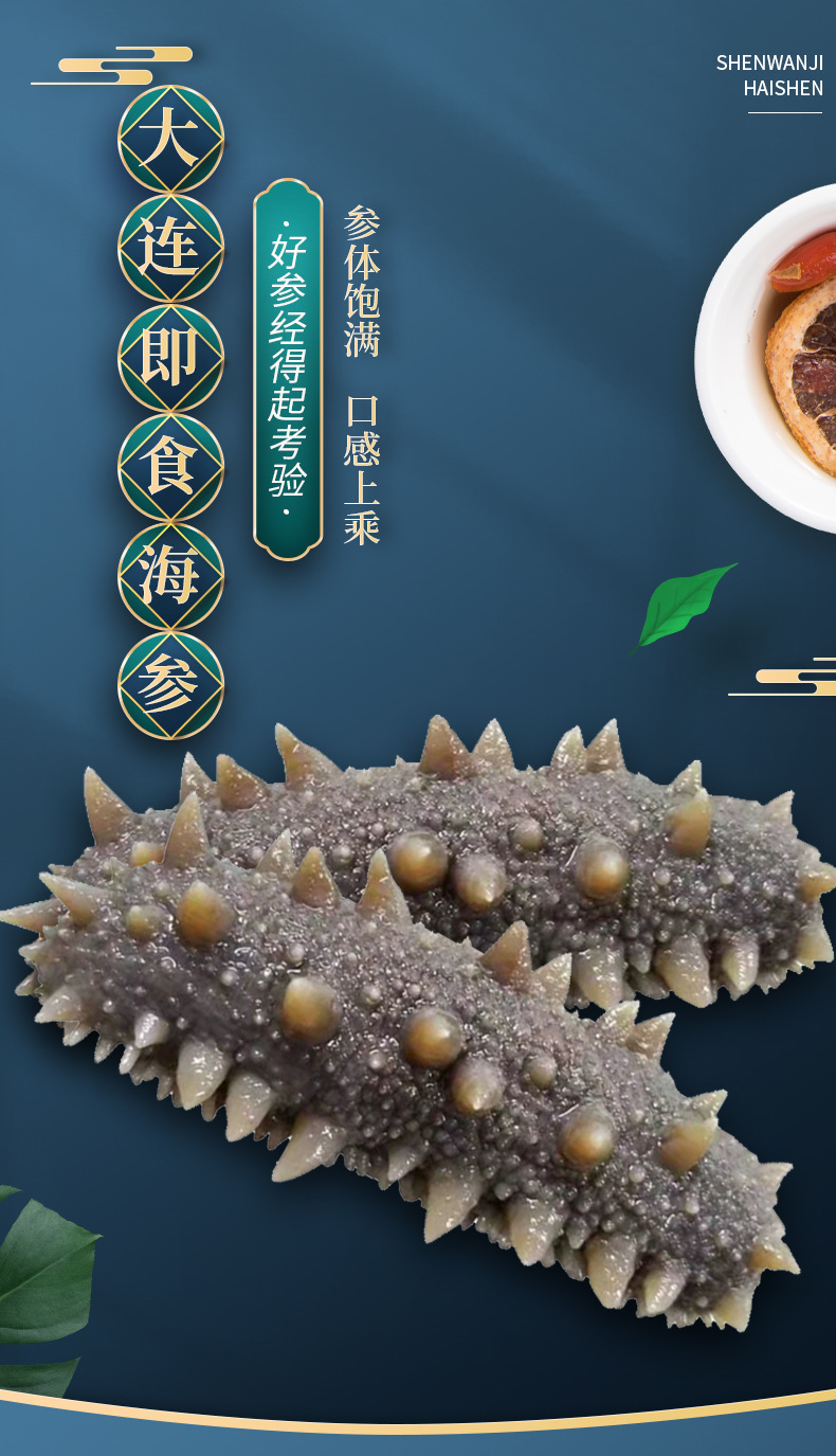 现货批发 大连即食海参 独立包装 口感q弹鲜食海参高压参鲜蒸海参