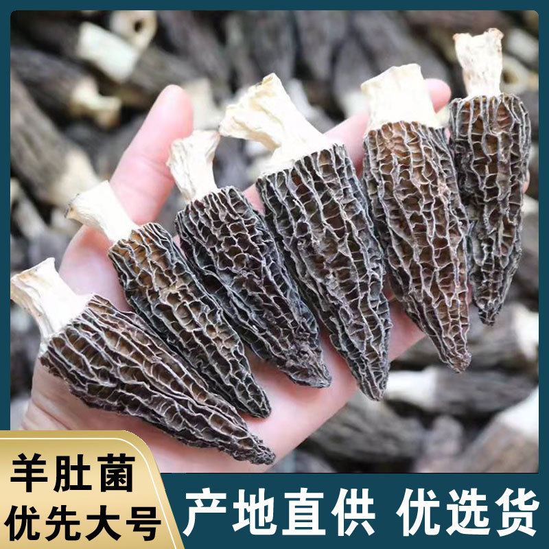 产地厚肉云南羊肚菌干货礼盒装农产品餐饮煲汤250g羊肚菌大量批发