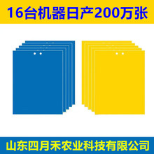 跨境亚马逊粘虫板诱虫板厂家批发双面黄板蓝板大棚专用粘虫板强力