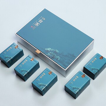 复古国潮高档茶叶盒中国风大红袍金骏眉红茶白茶通用礼盒包装