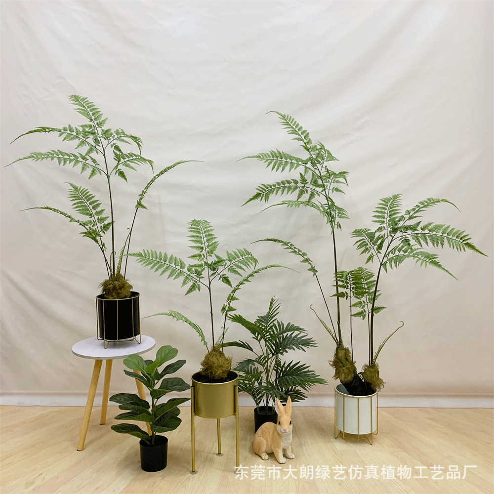 仿真猴头蕨植物金丝蕨草假树室内自然禅意绿植物盆栽金毛狗蕨摆件