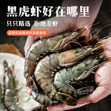 越南黑虎虾 液氮活冻大虾 新鲜超大速冻海鲜水产老虎虾基围虾竹斑