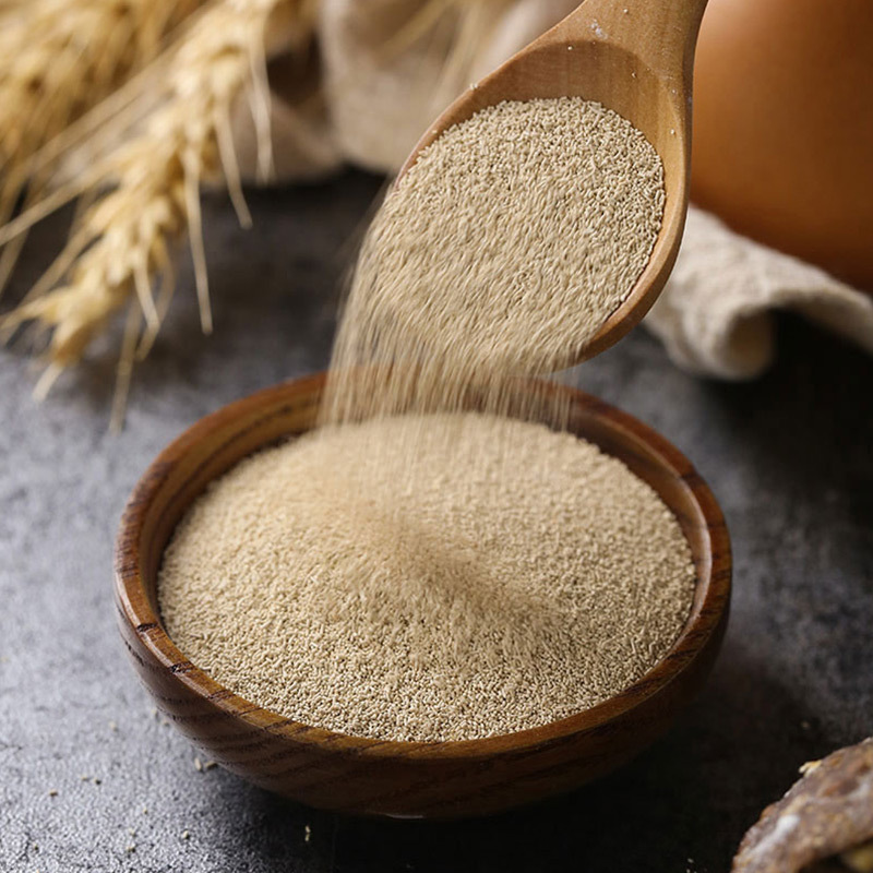 法国金燕酵母粉燕子牌即发活性干酵母馒头包子吐司面包发酵耐高糖