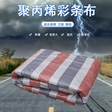 厂家直销天鸽彩条布  pp篷布 防水防雨防晒塑料雨布苫布 蓬布批发