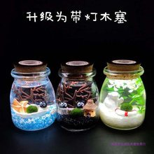 海藻球微景观生态瓶水培球藻迷你植物室内盆栽绿植带灯不带灯树脂