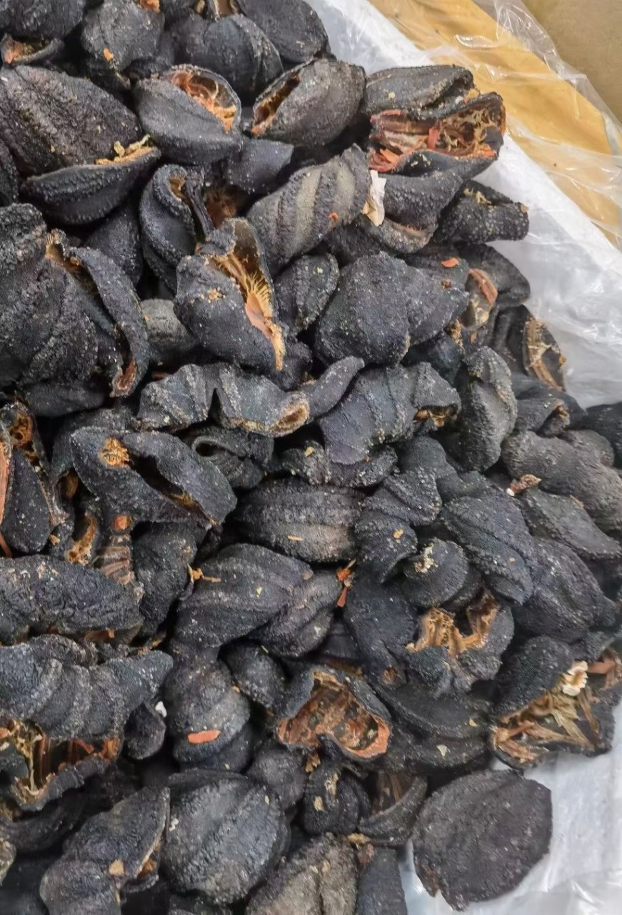 海参皮150元-阿里巴巴