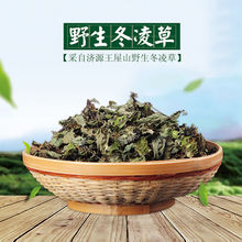 冬凌茶 冬凌草茶纯叶茶茶  河南济源王屋山特产