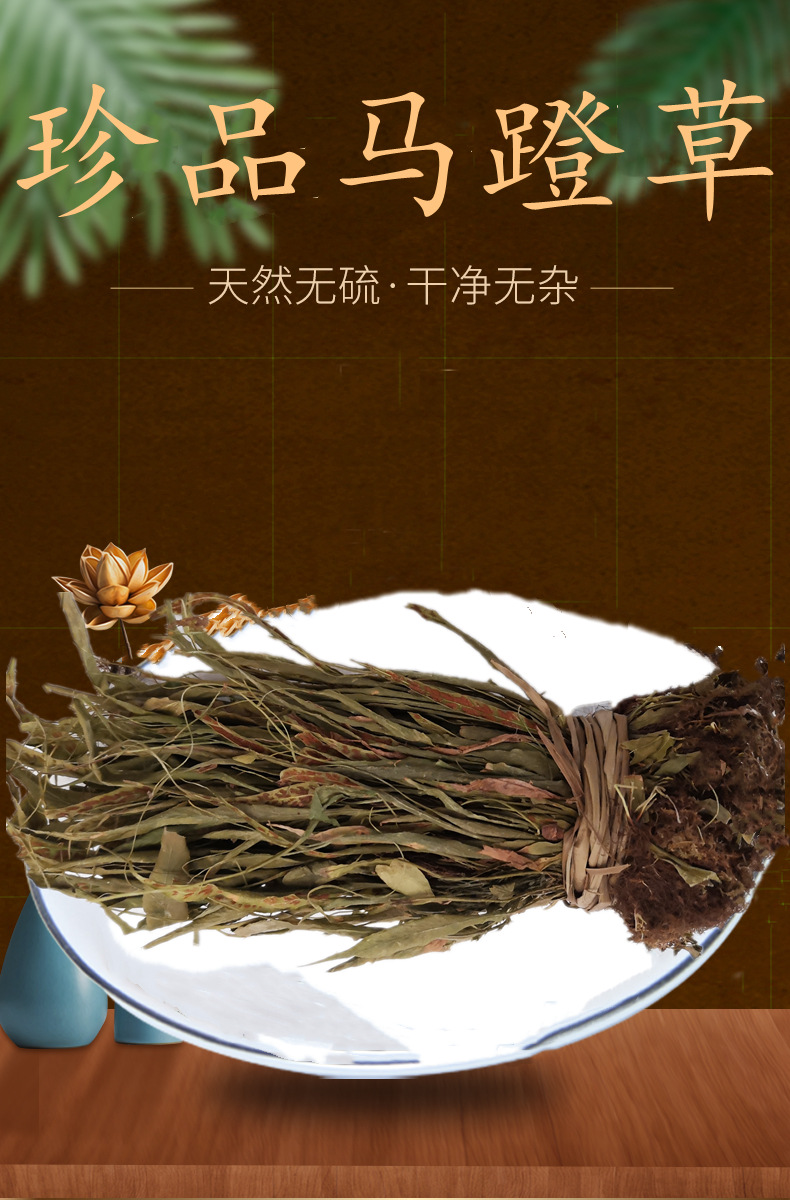 500g马蹬草原生态中药材批发过桥草还阳草马灯草马蹄草小石韦仙草