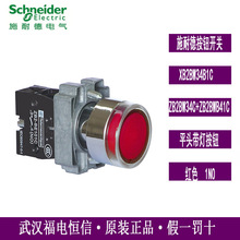 Schneider原装XB2BW34B1C平头带灯按钮DC24V红ZB2BW34C+ZB2BWB41C