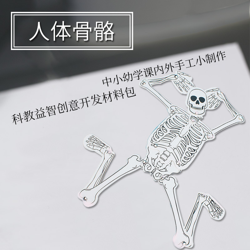 Human Skeleton Primary and Secondary School Physiological Cognition DIY Model Assembly Learning Material Package