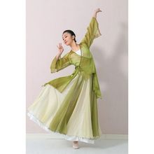 古典舞服装仙气套装中国风舞蹈服身韵纱衣中国舞演出服女飘逸套装