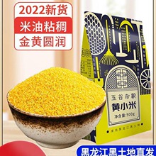 新东北黄小米500g*5 五谷杂粮吃的小黄米黑龙江粮食糯小米特产