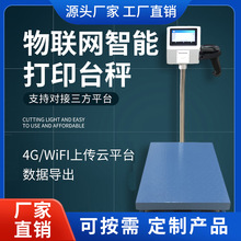 智能物联网电子秤触屏4G物联网wifi标签打印秤不干胶工业电子台秤