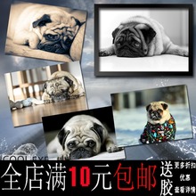 包邮巴哥犬 狗海报装饰画牛皮纸相框相片纸有框画挂画相框墙壁画