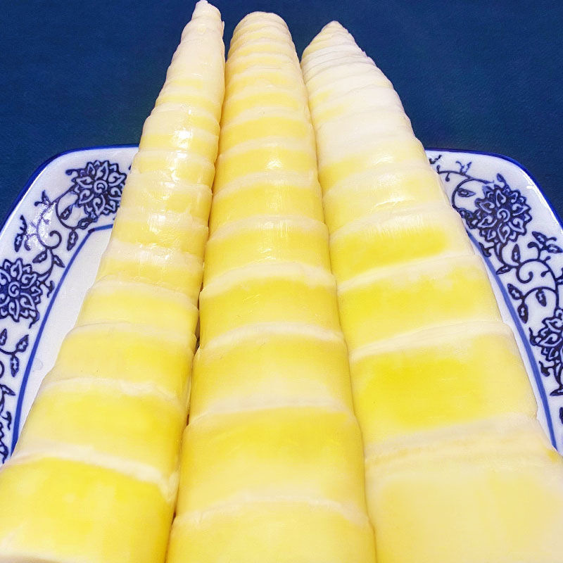 10斤包邮生鲜竹笋尖去壳春冬笋清水袋装笋尖含量约60%非干货食材