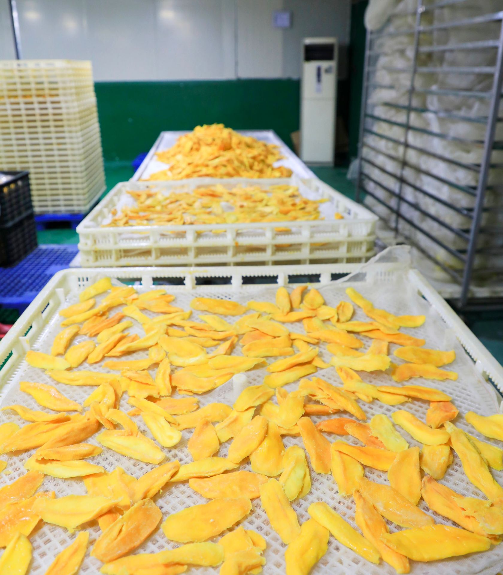 工厂直供休闲食品散装10kg/件蜜饯批发 芒果干大片a果