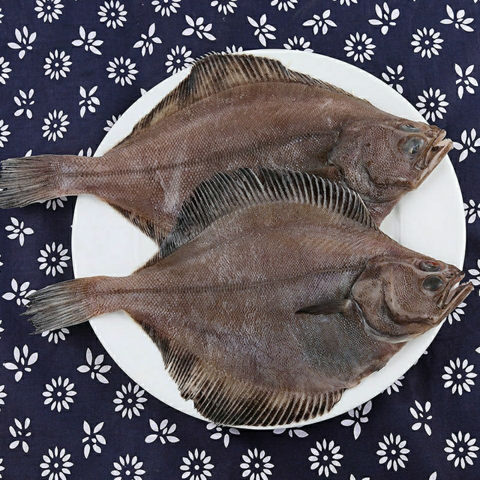 5斤包邮鲜活速冻新鲜大偏口鱼比目鱼鸦片鱼海鱼大鲽鱼整条