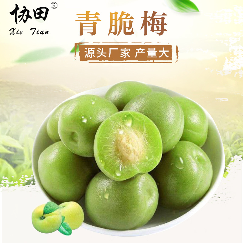 厂家批发 青脆梅 酸甜爽口青梅果子 即食水果干 休闲零食青竹梅子
