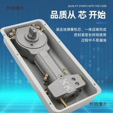 玻璃门地弹簧H220B重型818无框门有框门商铺大门地簧地弹璜麦太保