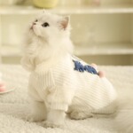 小猫咪衣服冬季保暖毛衣小猫布偶蓝猫可爱幼猫过冬宠物防掉毛冬装
