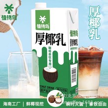 植物岛厚醇生椰乳1L厚椰乳生椰拿铁椰浆椰奶椰子汁商用咖啡店专用