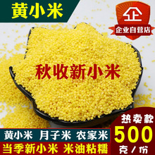 黄小米新米500g孕妇月子米吃的小米粥山东农家小黄米1斤