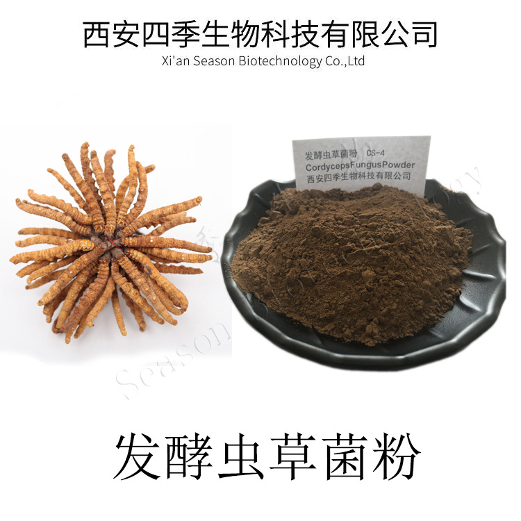 发酵虫草菌粉包邮1kg起蝙蝠蛾拟青霉菌粉99%虫草菌粉现货供应