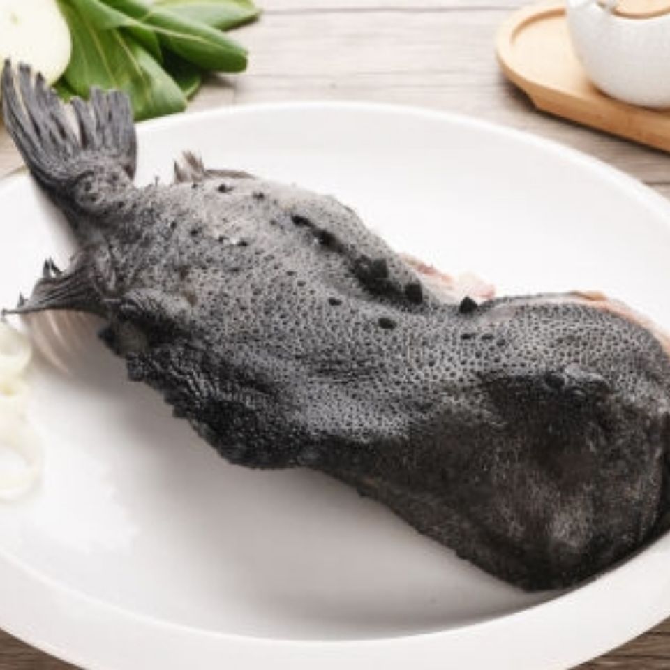 海参斑整条去内脏新鲜冷冻野生海鲜生鲜水产深海鱼石斑鱼批发包邮