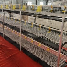 鸡笼源头厂家产3层肉鸡笼整套全自动养殖设备批发喂料机传粪鸡笼