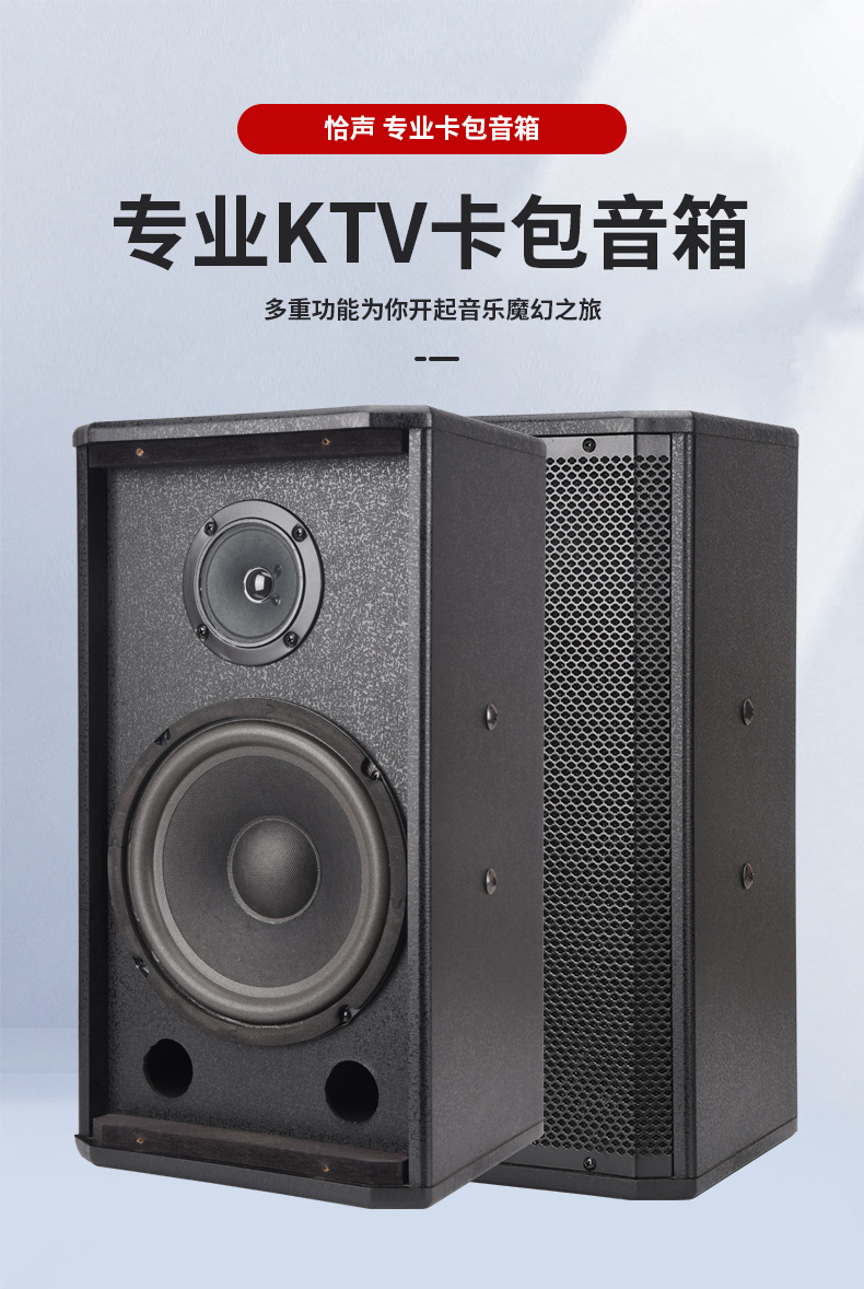 厂家直销 卡包音响会议舞台教学专用 卡拉ok专业音箱家庭ktv音响