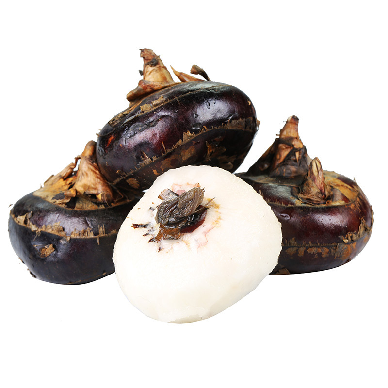 【应季款】湖北马蹄 新鲜荸荠现挖农家水果当季蔬菜饽荠马蹄果