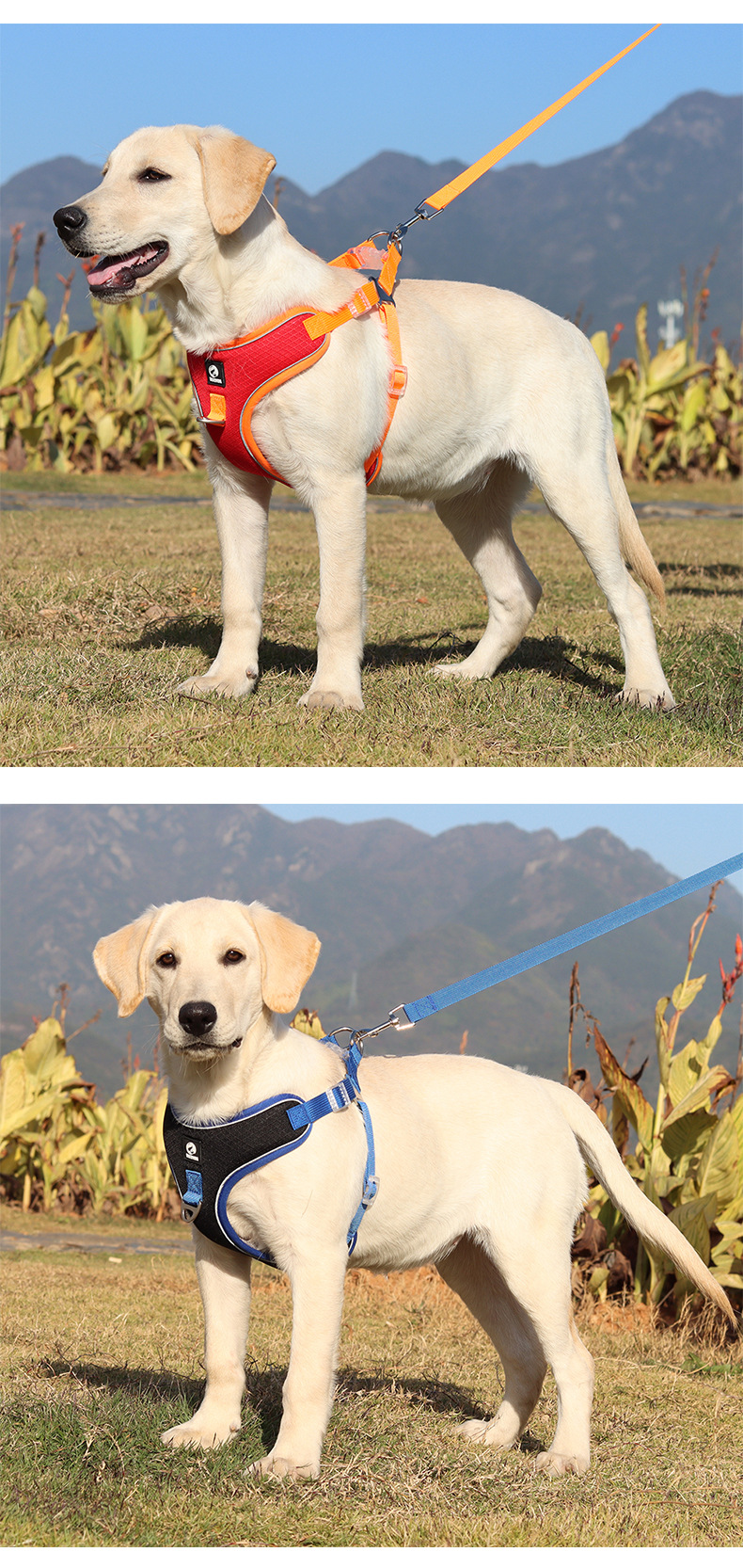 新款宠物牵引绳 背心式狗背带透气网布狗绳子中大型犬狗狗胸背带