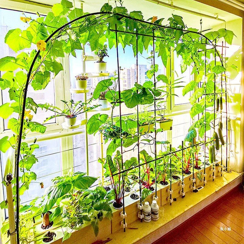 无土栽培黄瓜水培蔬菜家庭室内阳台种菜智能箱自动管道式设备大