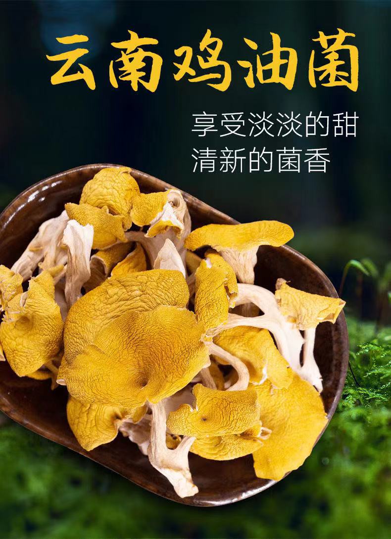 云南食用菌 批发鸡油菌 干货榆黄菇 黄金菇 玉皇菇产地货源