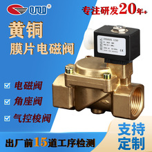 【定制】DN8-DN5016Kg压力黄铜膜片式先导式电磁阀水用电磁阀