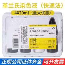 贝索革兰氏快速染色液 4*20ml显微镜微生物用 染色液真菌涂片染液