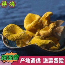 【鸡油菌】云南特产高山干鸡油菌黄金菇榆黄蘑黄丝菌干货煲汤食材