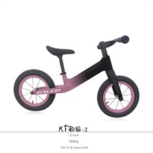 1800克超经版碳纤维平衡车 Balance Bike儿童滑步竞技车比赛车