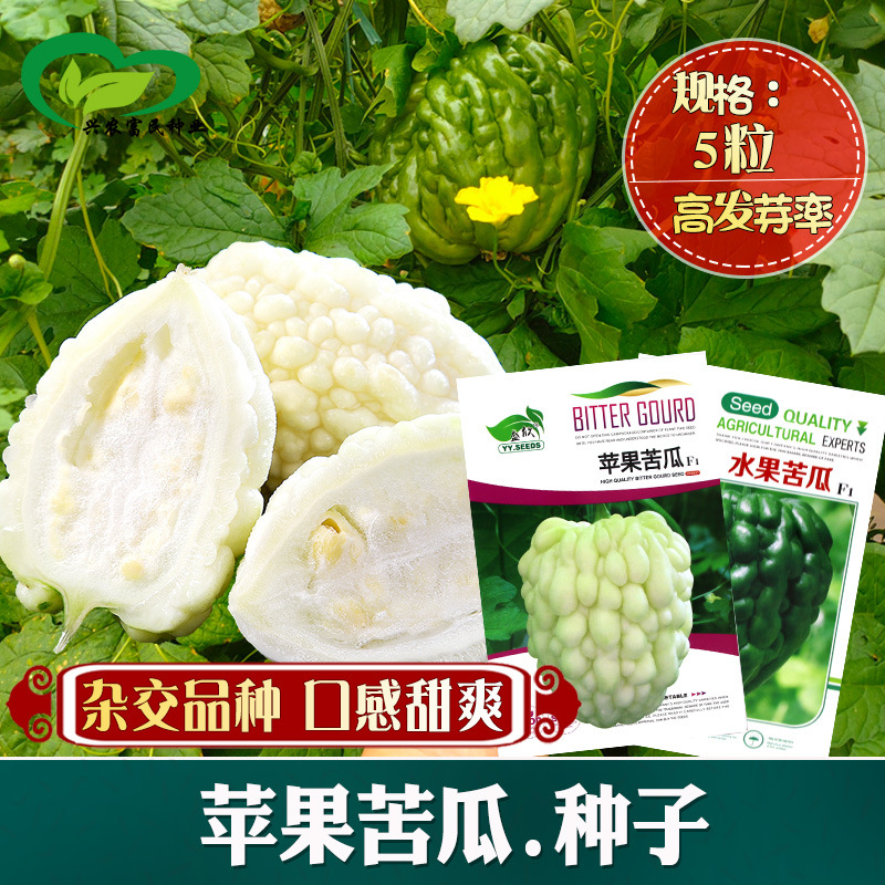 苹果苦瓜种子