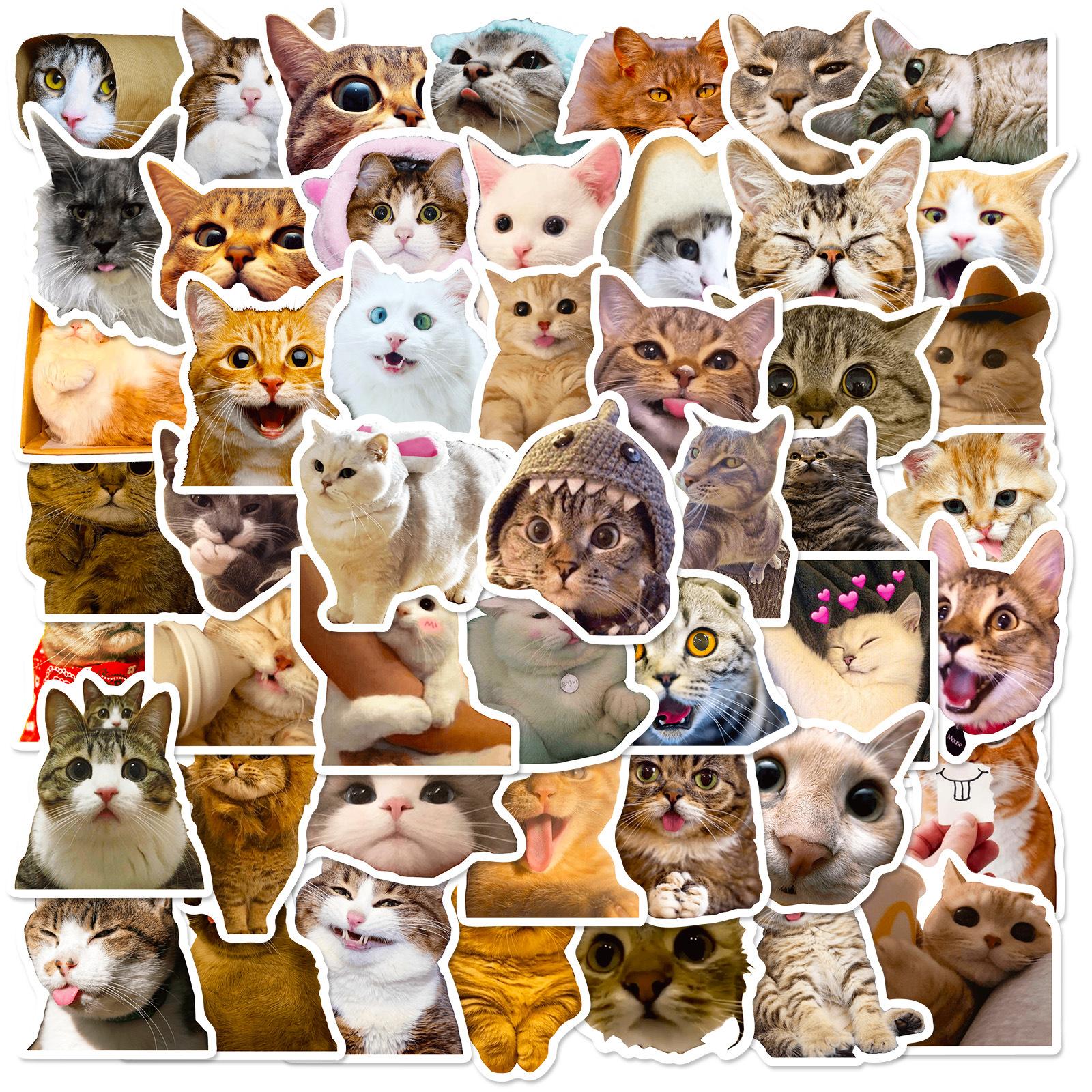 50张可爱猫猫卡通动物儿童贴画跨境亚马逊电脑ins风装饰涂鸦贴纸